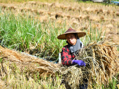 อธิบดีกรมส่งเสริมสหกรณ์ พร้อมด้วย ผู้ตรวจราชการกรม ... พารามิเตอร์รูปภาพ 4