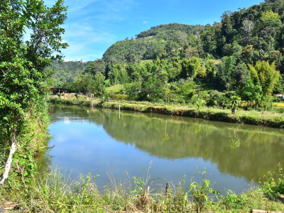 อธิบดีกรมส่งเสริมสหกรณ์ พร้อมด้วย ผู้ตรวจราชการกรม ... พารามิเตอร์รูปภาพ 5