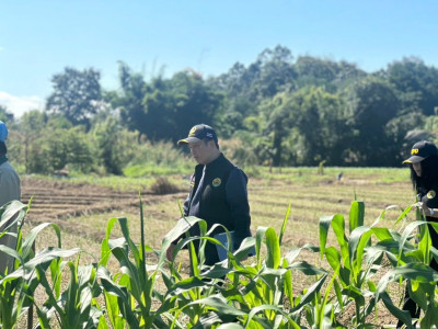 อธิบดีกรมส่งเสริมสหกรณ์ ... พารามิเตอร์รูปภาพ 14