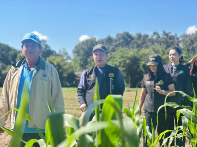 อธิบดีกรมส่งเสริมสหกรณ์ ... พารามิเตอร์รูปภาพ 15