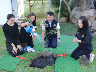 อธิบดีกรมส่งเสริมสหกรณ์ ... พารามิเตอร์รูปภาพ 16