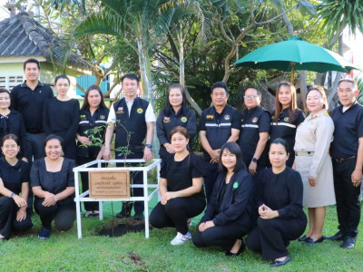 อธิบดีกรมส่งเสริมสหกรณ์ ... พารามิเตอร์รูปภาพ 17