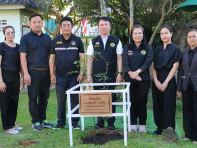 อธิบดีกรมส่งเสริมสหกรณ์ ... พารามิเตอร์รูปภาพ 19