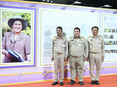 สมเด็จพระกนิษฐาธิราชเจ้า กรมสมเด็จพระเทพรัตนราชสุดาฯ ... พารามิเตอร์รูปภาพ 5