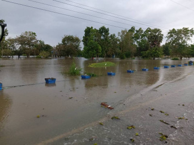 นายธนะวิทย์ ชูทอง ผู้ตรวจราชการกรมส่งเสริมสหกรณ์ ... พารามิเตอร์รูปภาพ 7