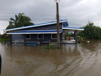 นายธนะวิทย์ ชูทอง ผู้ตรวจราชการกรมส่งเสริมสหกรณ์ ... พารามิเตอร์รูปภาพ 8