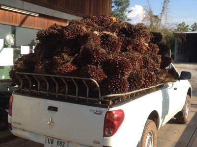 กรมส่งเสริมสหกรณ์เตรียมชงรัฐบาลของบกลางสมทบกองทุนพัฒนาสหกรณ์เพิ่มอีก 1,000 ล้านบาทปี 2569 ตั้งเป้าปล่อยกู้ดอกเบี้ยต่ำ 5,100 ล้านบาท ให้สหกรณ์ใช้รวบรวมผลผลิตและพยุงราคาสินค้าเกษตร ... พารามิเตอร์รูปภาพ 7