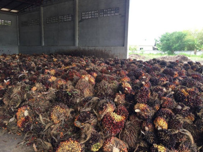 กรมส่งเสริมสหกรณ์เตรียมชงรัฐบาลของบกลางสมทบกองทุนพัฒนาสหกรณ์เพิ่มอีก 1,000 ล้านบาทปี 2569 ตั้งเป้าปล่อยกู้ดอกเบี้ยต่ำ 5,100 ล้านบาท ให้สหกรณ์ใช้รวบรวมผลผลิตและพยุงราคาสินค้าเกษตร ... พารามิเตอร์รูปภาพ 8