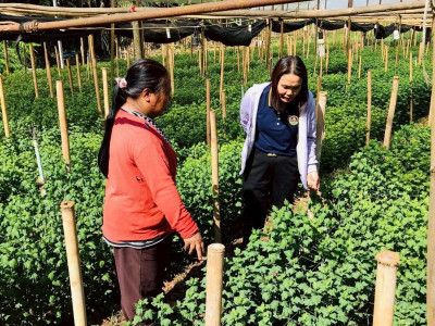 กรมส่งเสริมสหกรณ์เตรียมชงรัฐบาลของบกลางสมทบกองทุนพัฒนาสหกรณ์เพิ่มอีก 1,000 ล้านบาทปี 2569 ตั้งเป้าปล่อยกู้ดอกเบี้ยต่ำ 5,100 ล้านบาท ให้สหกรณ์ใช้รวบรวมผลผลิตและพยุงราคาสินค้าเกษตร ... พารามิเตอร์รูปภาพ 11