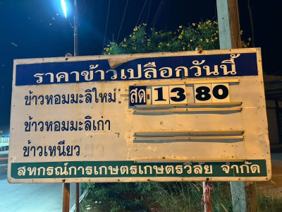 สหกรณ์การเกษตรทั่วประเทศพร้อมใจเปิดจุดรับซื้อข้าวเปลือกนาปีจากเกษตรกรตั้งเป้าฤดูกาลนี้รวบรวมไม่น้อยกว่า 4 ล้านตัน ล่าสุดราคาข้าวเปลือกหอมมะลิพุ่งแตะ กก.ละ 13.80 บาท ... พารามิเตอร์รูปภาพ 2