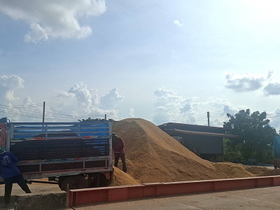 สหกรณ์การเกษตรทั่วประเทศพร้อมใจเปิดจุดรับซื้อข้าวเปลือกนาปีจากเกษตรกรตั้งเป้าฤดูกาลนี้รวบรวมไม่น้อยกว่า 4 ล้านตัน ล่าสุดราคาข้าวเปลือกหอมมะลิพุ่งแตะ กก.ละ 13.80 บาท ... พารามิเตอร์รูปภาพ 4