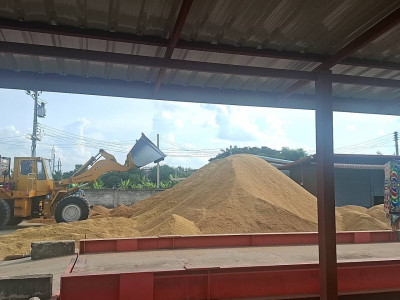 สหกรณ์การเกษตรทั่วประเทศพร้อมใจเปิดจุดรับซื้อข้าวเปลือกนาปีจากเกษตรกรตั้งเป้าฤดูกาลนี้รวบรวมไม่น้อยกว่า 4 ล้านตัน ล่าสุดราคาข้าวเปลือกหอมมะลิพุ่งแตะ กก.ละ 13.80 บาท ... พารามิเตอร์รูปภาพ 5