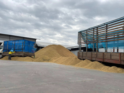 สหกรณ์การเกษตรทั่วประเทศพร้อมใจเปิดจุดรับซื้อข้าวเปลือกนาปีจากเกษตรกรตั้งเป้าฤดูกาลนี้รวบรวมไม่น้อยกว่า 4 ล้านตัน ล่าสุดราคาข้าวเปลือกหอมมะลิพุ่งแตะ กก.ละ 13.80 บาท ... พารามิเตอร์รูปภาพ 10