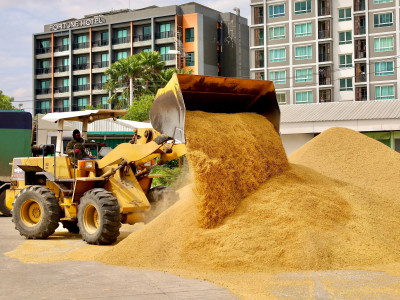 สหกรณ์การเกษตรทั่วประเทศพร้อมใจเปิดจุดรับซื้อข้าวเปลือกนาปีจากเกษตรกรตั้งเป้าฤดูกาลนี้รวบรวมไม่น้อยกว่า 4 ล้านตัน ล่าสุดราคาข้าวเปลือกหอมมะลิพุ่งแตะ กก.ละ 13.80 บาท ... พารามิเตอร์รูปภาพ 13
