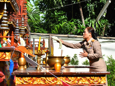 นางสาวอภิวันท์ ธะนะสิทธิศักดิ์ ผู้ตรวจราชการกรม ... พารามิเตอร์รูปภาพ 16