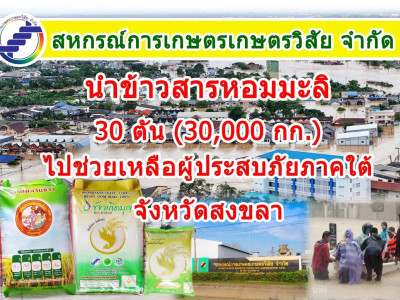 กรมส่งเสริมสหกรณ์ ... พารามิเตอร์รูปภาพ 11