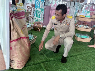 รองอธิบดีกรมส่งเสริมสหกรณ์ ... พารามิเตอร์รูปภาพ 10