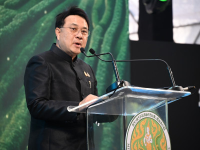 นายนเรศ ธำรงค์ทิพยคุณ ... พารามิเตอร์รูปภาพ 1