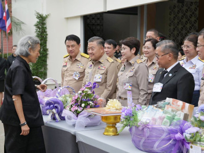 สมเด็จพระกนิษฐาธิราชเจ้า กรมสมเด็จพระเทพรัตนราชสุดา ฯ ... พารามิเตอร์รูปภาพ 21