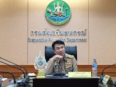 อธิบดีกรมส่งเสริมสหกรณ์ ... พารามิเตอร์รูปภาพ 1