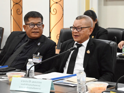 นายโสภณ ซารัมย์ รองนายกรัฐมนตรี ... พารามิเตอร์รูปภาพ 11