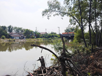 รองอธิบดีกรมส่งเสริมสหกรณ์ ... พารามิเตอร์รูปภาพ 14