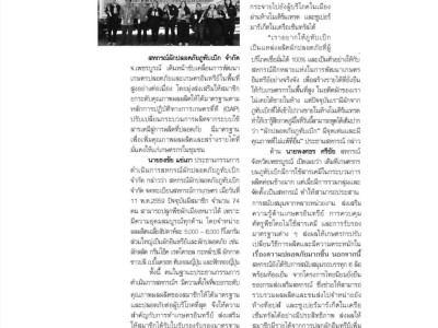 สหกรณ์ภูมิใจผักปลอดภัยภูทับเบิก มาตรฐานตลาดโมเดิร์นเทรด ... พารามิเตอร์รูปภาพ 18