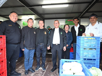 สหกรณ์ภูมิใจผักปลอดภัยภูทับเบิก มาตรฐานตลาดโมเดิร์นเทรด ... พารามิเตอร์รูปภาพ 2