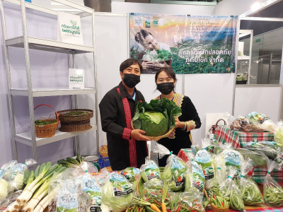 สหกรณ์ภูมิใจผักปลอดภัยภูทับเบิก มาตรฐานตลาดโมเดิร์นเทรด ... พารามิเตอร์รูปภาพ 5