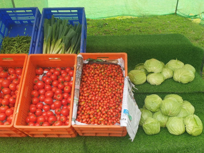 สหกรณ์ภูมิใจผักปลอดภัยภูทับเบิก มาตรฐานตลาดโมเดิร์นเทรด ... พารามิเตอร์รูปภาพ 6