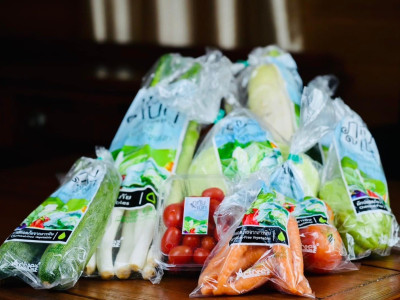 สหกรณ์ภูมิใจผักปลอดภัยภูทับเบิก มาตรฐานตลาดโมเดิร์นเทรด ... พารามิเตอร์รูปภาพ 8