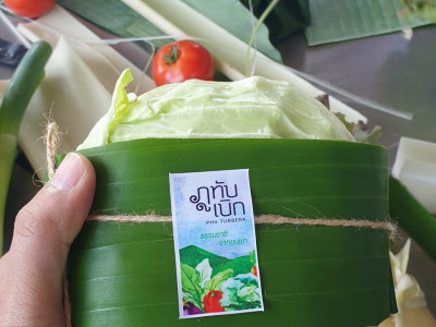 สหกรณ์ภูมิใจผักปลอดภัยภูทับเบิก มาตรฐานตลาดโมเดิร์นเทรด ... พารามิเตอร์รูปภาพ 9