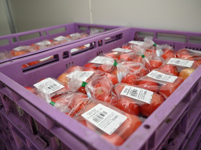 สหกรณ์ภูมิใจผักปลอดภัยภูทับเบิก มาตรฐานตลาดโมเดิร์นเทรด ... พารามิเตอร์รูปภาพ 12