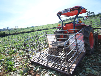 สหกรณ์ภูมิใจผักปลอดภัยภูทับเบิก มาตรฐานตลาดโมเดิร์นเทรด ... พารามิเตอร์รูปภาพ 13