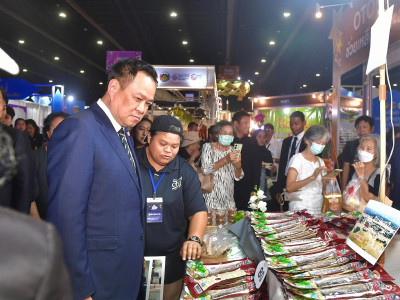 นายอนุทิน ชาญวีรกูล นายกรัฐมนตรี เป็นประธานในพิธีเปิดงาน ... พารามิเตอร์รูปภาพ 2