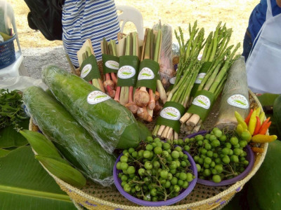 สหกรณ์การเกษตรบ้านดงกล้วย จ.กาฬสินธุ์ ... พารามิเตอร์รูปภาพ 2