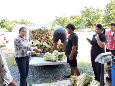 สหกรณ์การเกษตรบ้านดงกล้วย จ.กาฬสินธุ์ ... พารามิเตอร์รูปภาพ 3