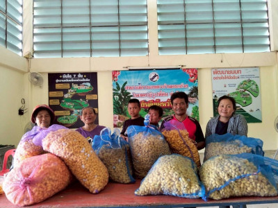 สหกรณ์การเกษตรบ้านดงกล้วย จ.กาฬสินธุ์ ... พารามิเตอร์รูปภาพ 5