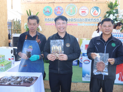 อธิบดีกรมส่งเสริมสหกรณ์ ... พารามิเตอร์รูปภาพ 7