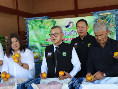 รองอธิบดีกรมส่งเสริมสหกรณ์ ... พารามิเตอร์รูปภาพ 11