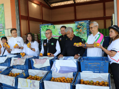 รองอธิบดีกรมส่งเสริมสหกรณ์ ... พารามิเตอร์รูปภาพ 12