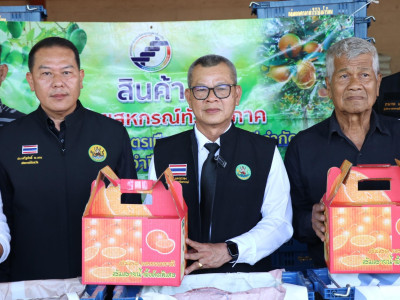 รองอธิบดีกรมส่งเสริมสหกรณ์ ... พารามิเตอร์รูปภาพ 18