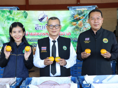 รองอธิบดีกรมส่งเสริมสหกรณ์ ... พารามิเตอร์รูปภาพ 3