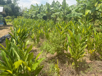 กรมส่งเสริมสหกรณ์เดินหน้าสนองนโยบายรัฐบาล ... พารามิเตอร์รูปภาพ 1