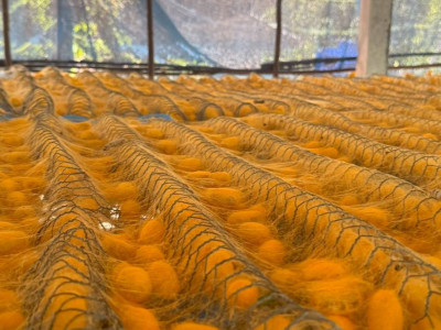 กรมส่งเสริมสหกรณ์เดินหน้าสนองนโยบายรัฐบาล ... พารามิเตอร์รูปภาพ 2