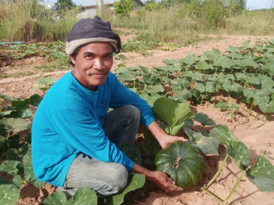 กรมส่งเสริมสหกรณ์เดินหน้าสนองนโยบายรัฐบาล ... พารามิเตอร์รูปภาพ 6