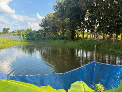 กรมส่งเสริมสหกรณ์เดินหน้าสนองนโยบายรัฐบาล ... พารามิเตอร์รูปภาพ 16