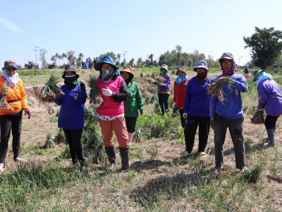 อธิบดีกรมส่งเสริมสหกรณ์ พร้อมด้วย ผู้ตรวจราชการกรม ... พารามิเตอร์รูปภาพ 22