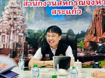 อธิบดีกรมส่งเสริมสหกรณ์ ... พารามิเตอร์รูปภาพ 1