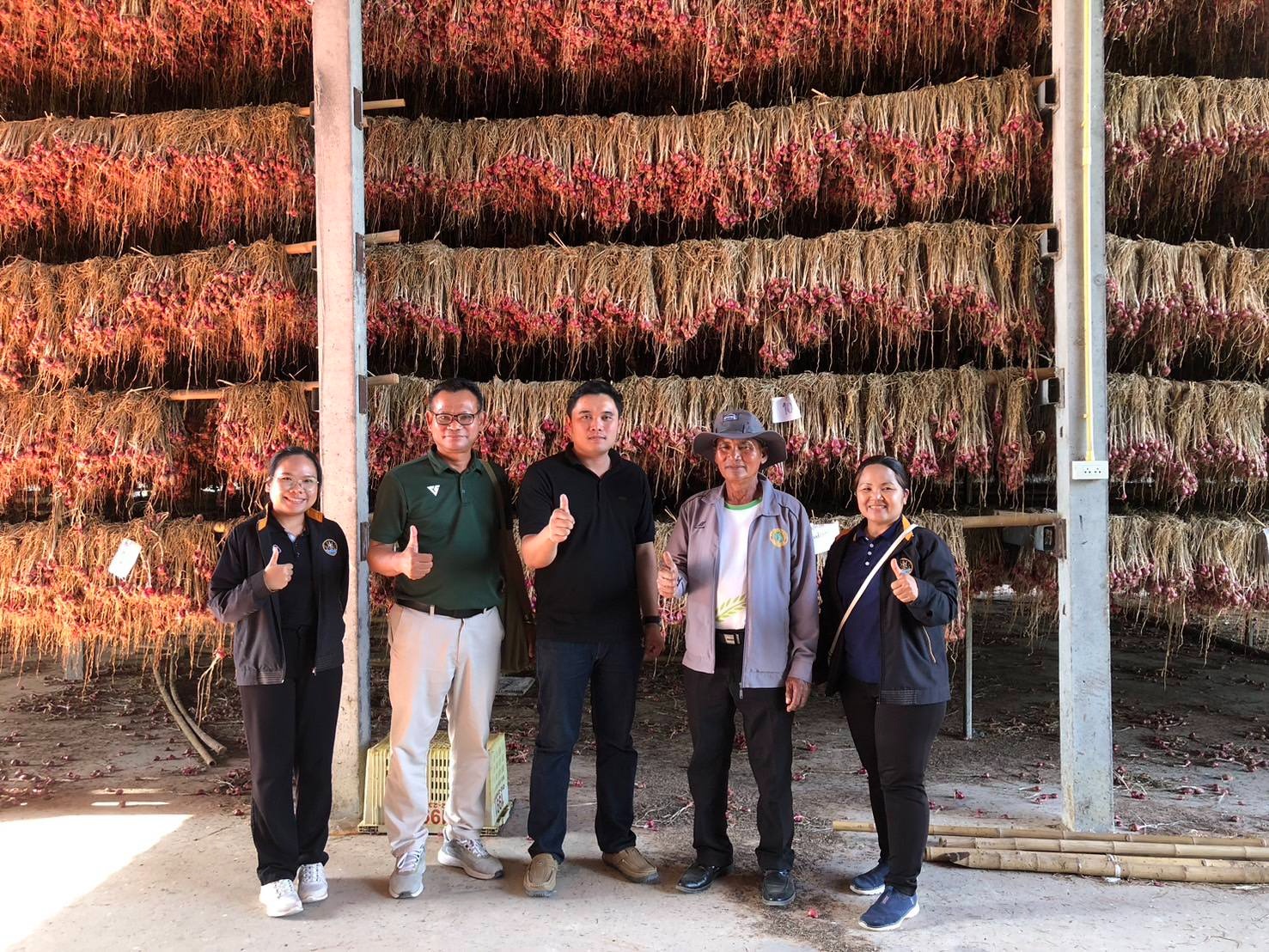 “หอมแดง”ของดีศรีสะเกษการันตีด้วยสินค้าจีไอ(GI) พารามิเตอร์รูปภาพ 1